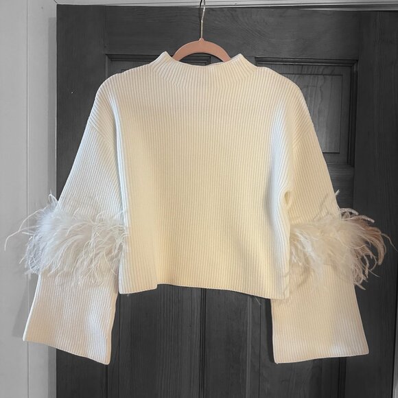 Noli Shop Sweaters - NWT Noli Shop Bella Feather Trim Sweater in Pearl - Size Small